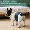 Kuoser Washable Male Dog Diaper, Blue, XL view 4