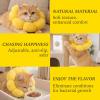 Adjustable Cat Collar in Sunflower Design view 3