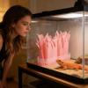 Reptile Tank Humidifier | Decorative Plant Imitation Humidification System view 2