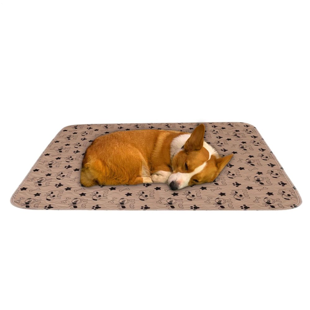 Easy-to-Clean Pee Pad Training Mat