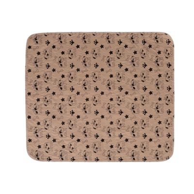 Easy-Clean Reusable Dog Training Pad