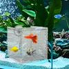 Acrylic Fish Breeding and Isolation Box with Suction Cups view 4