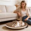 Hitburu Cat Scratching Board view 3