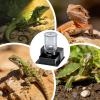 Turtle Automatic Feeder and Reptile Water Bowl view 4