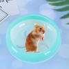 HOMSFOU Hamster Exercise Wheel, 18 cm, Quiet, for Small Pets, Gerbils and Rats, Random Color view 4