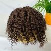 Men’s Curly Toupee, 20.3 x 25.4 cm, Full Lace, Brown Human Hair System view 4
