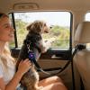 Dog Safety Harness for Car Travel view 2