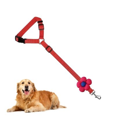 Adjustable Dog Harness, Escape-Proof