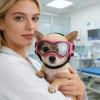 Dog Sunglasses for Small Breeds with Adjustable Strap view 2