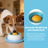 Lick Bowl for Dogs - Interactive Slow Feeder view 4
