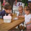 VALICLUD 3-Pack Plastic Transport Boxes for Small Pets view 4