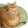 RXJMKCZ Compatible with KXRE Washable Cat Cave Bed view 4