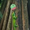 Abaodam 7-Piece Lizard Toy Set with Suction Cups and Bell Balls for Terrariums view 4