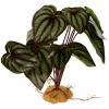 Artificial Resin and Plastic Plant for Terrariums and Aquariums view 1