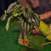 Artificial Resin and Plastic Plant for Terrariums and Aquariums view 3