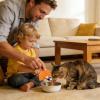 Easy-to-Clean Cat Treat Dispenser view 2