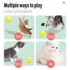 BSITSSS 12 Pack Cat Balls view 3