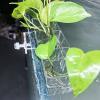 Generic Aquarium Plant Holder - Transparent Pot view 4