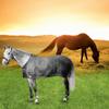 Haodream Fly Sheet for Horses, Sun Protection Mesh Cover with Buckles view 3