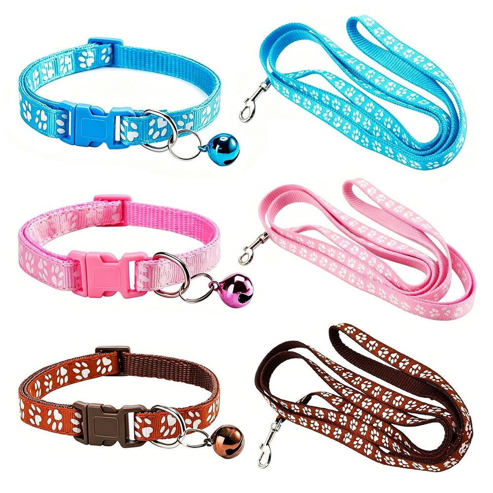 2-Piece Pink Puppy Leash Set with Collars