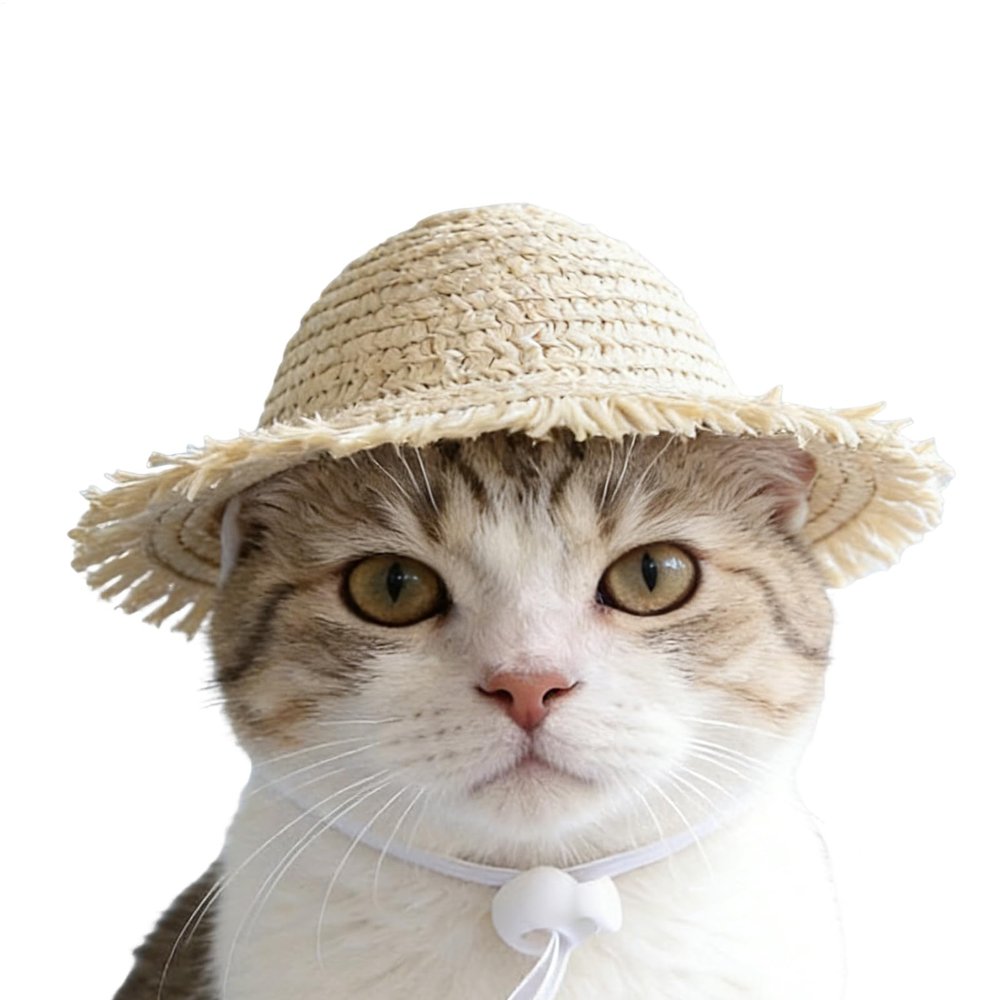 Cute Handmade Straw Hat for Cats