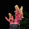 Gadpiparty Artificial Aquarium Coral Decoration XL view 3