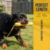 Hontaog 22 cm Water Toy for Dogs with Nylon Rope, Floating and Bite-Resistant, Yellow view 4