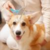 Generic Pet Hair Remover for Carpets - 3 Reusable Brushes view 3