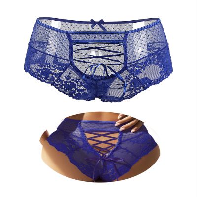 ohmydear Women's Blue Lace Panties 4XL