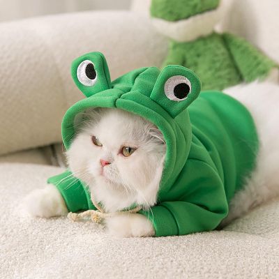 Haofy Cat Hoodie