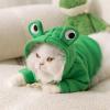 Haofy Cat Hoodie view 1