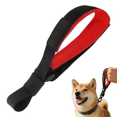 Dog Training Leash | Puppy Gear & Play Rope