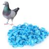 FILFEEL 001–100 Numbered Bird Leg Bands, Lightweight Identification Rings for Pigeons, Reusable (Blue) view 4
