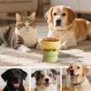 15° Inclined Cat Bowl for Neck Relief - Removable Cat Dish view 4