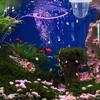 JOINPAYA Plastic Fish Breeding Box view 4