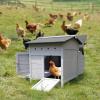Elevated Chicken Coop with Wooden Nesting Box view 2