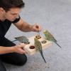 Wooden Bird Feeder Toy - Natural Wood Treat Dispenser for Fun and Interaction view 2