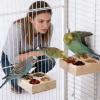 Wooden Bird Feeder Toy - Natural Wood Treat Dispenser for Fun and Interaction view 3