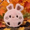 Dog Toy Ball | Colorful Bouncing Safe Portable Play - Puppy Dog Ball Toy view 3