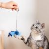 Bird Cat Toy with Sound view 4