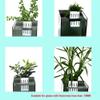 BildeeMait Aquarium Plant Holder view 2
