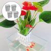 BildeeMait Aquarium Plant Holder view 3