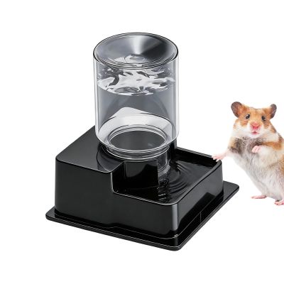 Automatic Reptile Water Dispenser