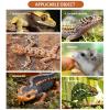 Automatic Reptile Water Dispenser view 4