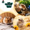 Hamster Hoodie Costume for Pets view 4
