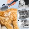 Fur-Free Cat Brush - Portable Stainless Steel Tool view 2