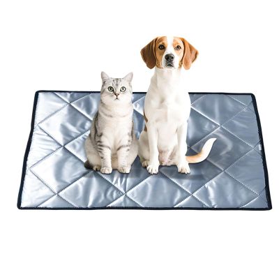 Non-Slip Dog Training Pad