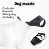 Smandy Dog Muzzle view 2
