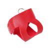 Yctze Bird Harness Vest for Budgies and Cockatiels, with 2 m Leash (S) view 3