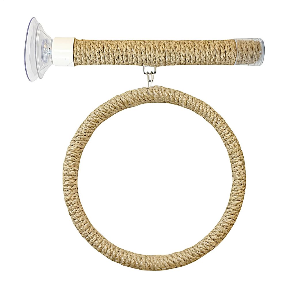 Bird Perch with Window Suction Cup Holder